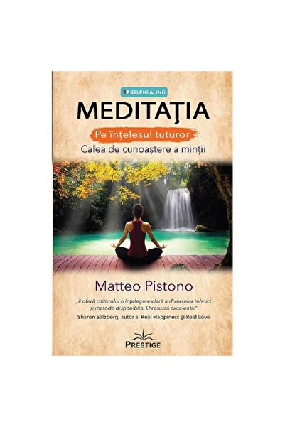 Prestige Meditație pe înțelegerea tuturor - Matteo Pistono - Ed. Prestigiu