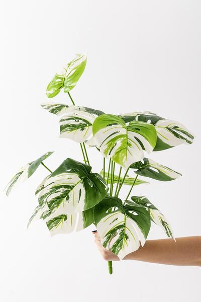 Güleç Yapay Çiçek Yapay Salon Köşe Çiçeği Devetabanı Beyaz 65 Cm Saksısız