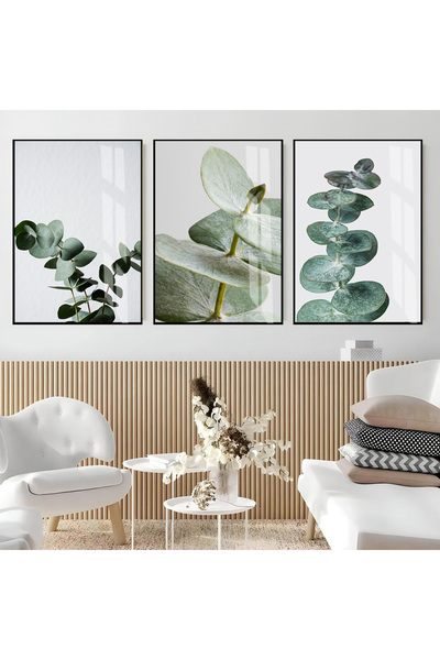 Harika bir ev HARİKABİREV|SOFT |YEŞİL RENK OKALİPTUS KOMBİNİ (Eucalyptus) |ÇE...