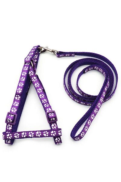 Pet Aksesuar Dog Collar and Leash Set 2Si1, 1.5 cm
