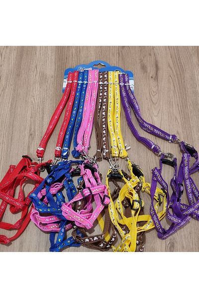 Pet Aksesuar Dog Collar and Leash Set 2Si1, 1.5 cm