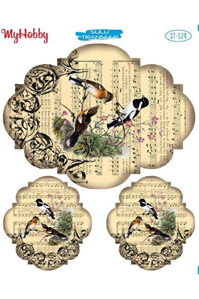 Ümraniye Hobi Sanat Sulu Transfer 25*35 Cm Stb-529