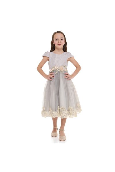 Victor and Jane Grey/Gold Jacquard And Tulle Dres With Lace