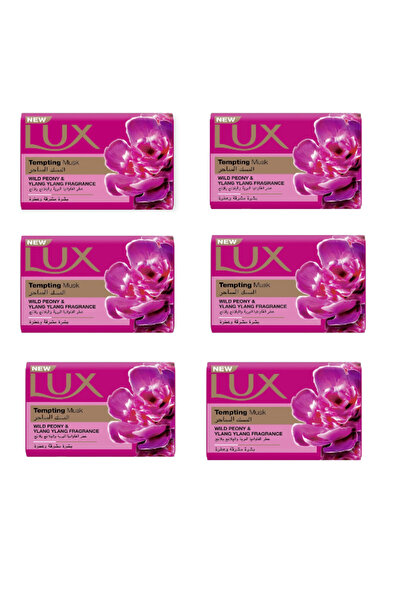 alatar صابون لوكس المسك الساحر - 170 جرام (عبوة من 6 قطع)