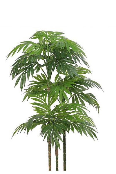 Generic شجرة نخل صناعي 110 سم (3 أفرع) بمركن بلاستيك اسطوانى