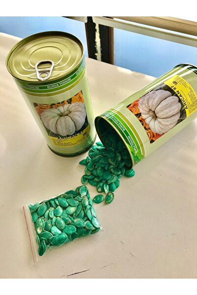 karaoğlan tarım Bal Kabağı Tohumu Arıcan 97 Paket 500 gr Tartılıp Başka Ambal...