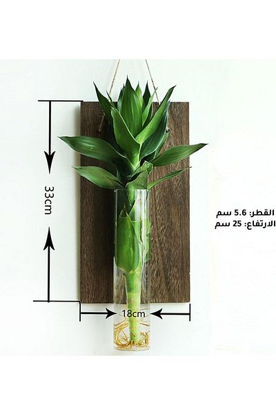 MIBRU Wall Mounted Wooden Plant Pot, Multicolor Hanging Planter for Indoor & Outdoor Decor