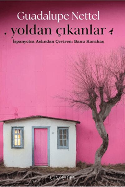 Yoldan Çıkanlar