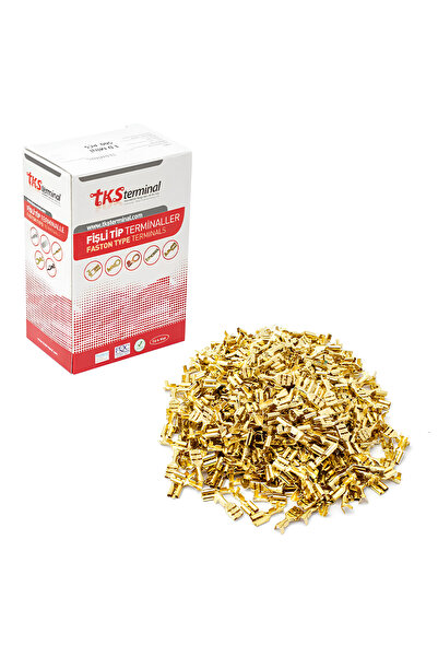 Advo 500 Adet 4,8 Mm Dişi Fiş Tırnaksız Terminal Kablo Ucu Sf1d Mini