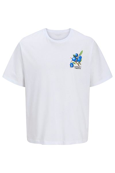 Jack & Jones Ανδρικό T-Shirt Jorbradley Berries 12275187