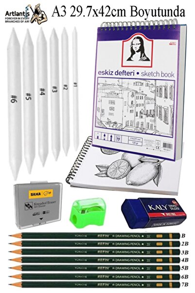 Artlantis A3 Ring Binder Sketchbook Spiral 50 Sheets Charcoal Drawing Set Fat...