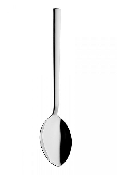 Rollers Coral Serving Spoon