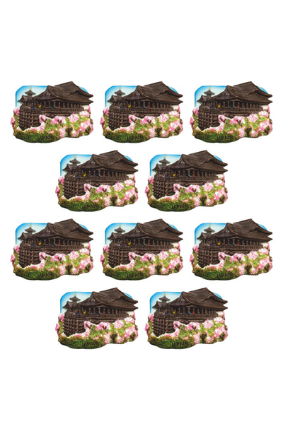 Vera Buzdolabı Magneti - 10 Adet Japonya Magneti