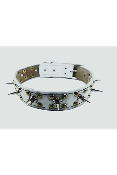 Allhunting Çivili Köpek Tasması Çift Kat Deri