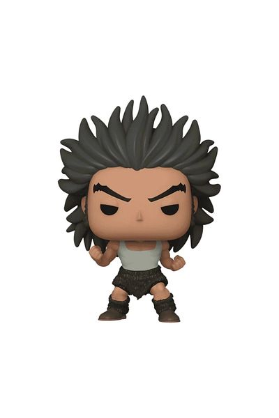 Funko Pop! Animation: Hunter X Hunter Uvogin Vinyl Figures