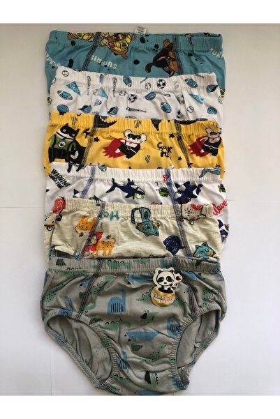 Panda Kiddo erkek çocuk desenli 6 lı slip külot