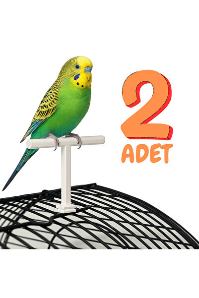 Kuşarkadaşım Kafes Üstü T Tünek 2 Adet Muhabbet Kuşu & Sevda/Cennet & Sultan ...