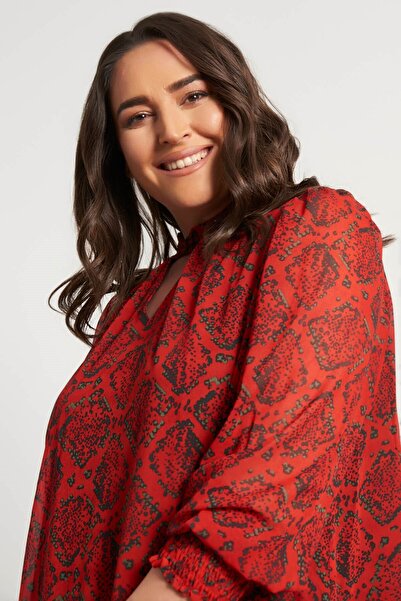 MYLİNE Gimped Chiffon Dress with Collar Detail