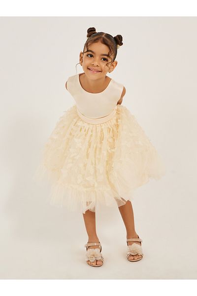 Styli Butterfly Embellished Sleeveless Dress