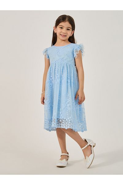 Styli Frill Sleeve Round Neck Pleated Lace Dress