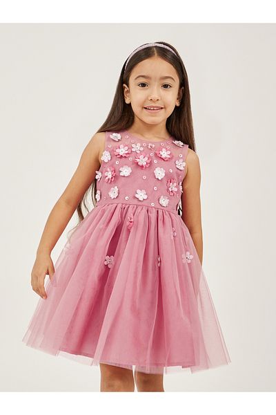 Styli Mesh Insert Corsage Sleeveless Dress