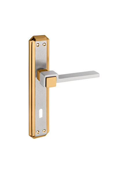 zerafev Lüks Vizyon Gizem Aynalı Alüminyum Kapı Kolu (Kapı Kulbu) (Oda Tipi) Altın - Saten