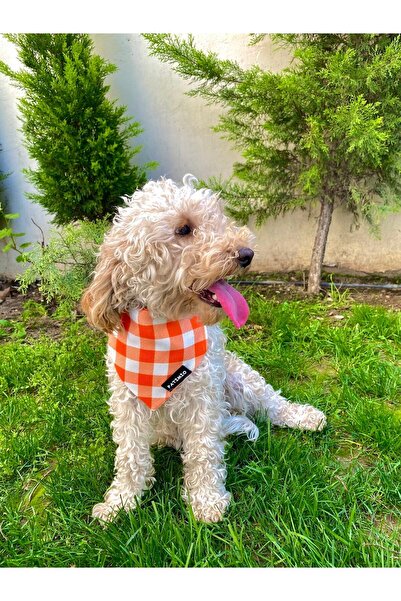 PATİMİO Orange Square Cat And Dog Collar Scarf Bandana