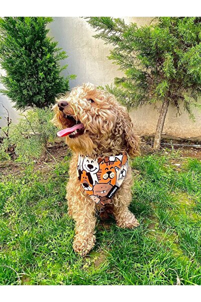 PATİMİO Happy Dogs Kedi Ve Köpek Tasma Fular Bandana