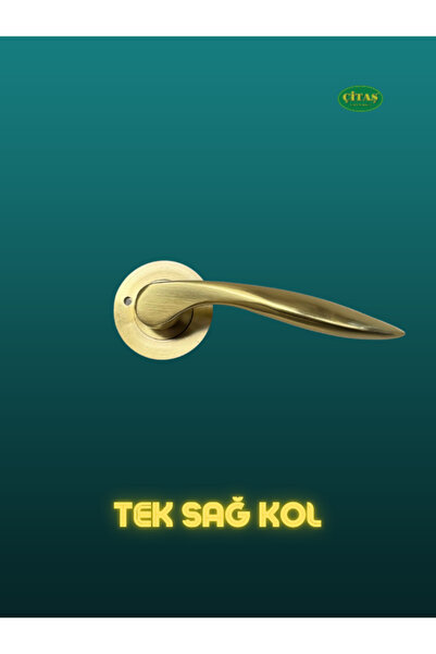 ÇİTAŞ ALTIN SARI RENK 1. SINIF KIRILMAZ PASLANMAZ PİRİNÇ TEK SAĞ ÇELİK KAPI-O...