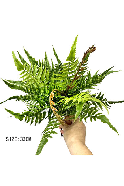 choice2 XJ07-FWJ-2T1 33-48cm Artificial fern leaves Persian grass plant wall ...