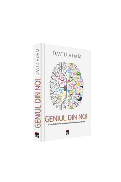 Rao The genius within us