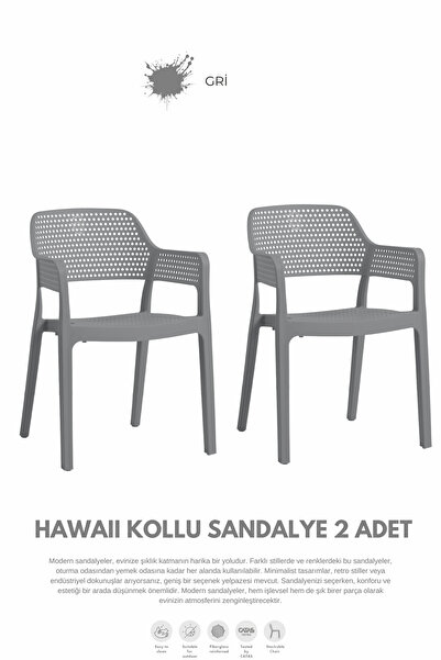 Daim Plastik HAWAİİ KOLLU BAHÇE SANDALYESİ 2Lİ SET