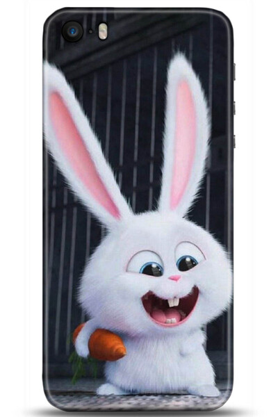 adveksiyon Apple iPhone 5 / 5S Kılıf HD Baskılı Kılıf - Serenity Series 5048