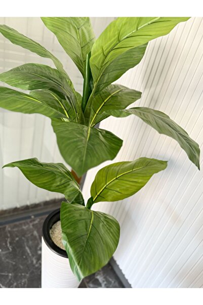 DARE EV YAŞAM YAPAY MUZ AĞACI 2 GÖVDELİ 145 CM BEYAZ VAZO SAKSIDA
