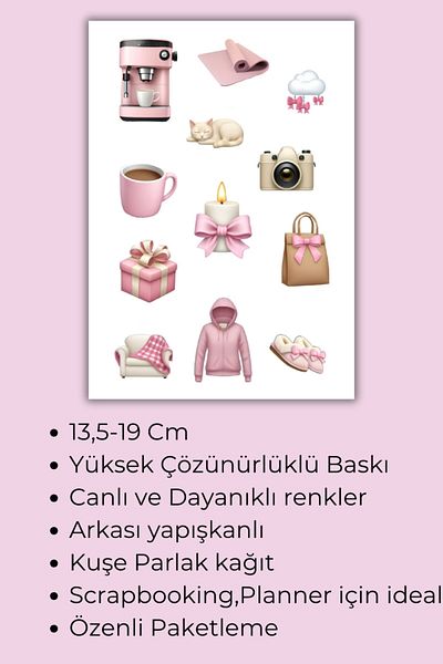birikiyedi Pink Girls 4-Piece Sticker Set - Cute Pink Themed