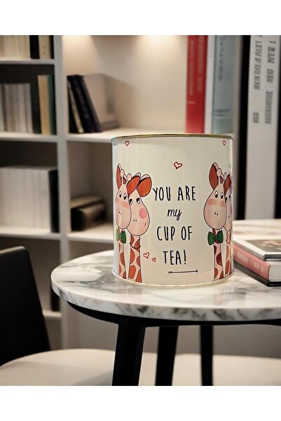 Elif mağazacılık Desenli metal kumbara