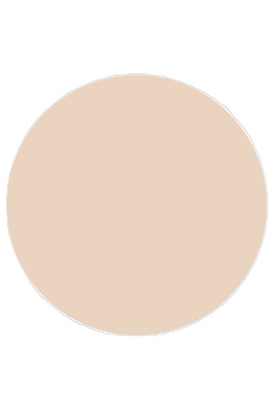 TOPFACE Pudra Compacta Wet&dry Instyle Compact Powder - Pt261.002