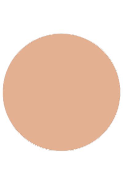 TOPFACE Pudra Compacta Wet&dry Instyle Compact Powder - Pt261.010