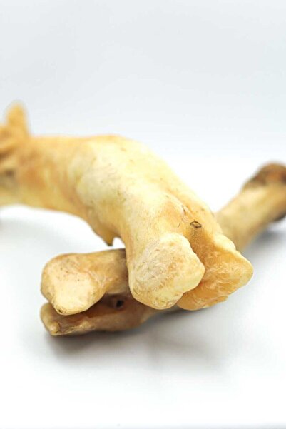 Eva & Wall-e Köpek Ödülü Kurutulmuş Oğlak Paça | Doğal Köpek Kemiği, Köpek Ödül Maması, Çiğneme Kemiği 2' Li