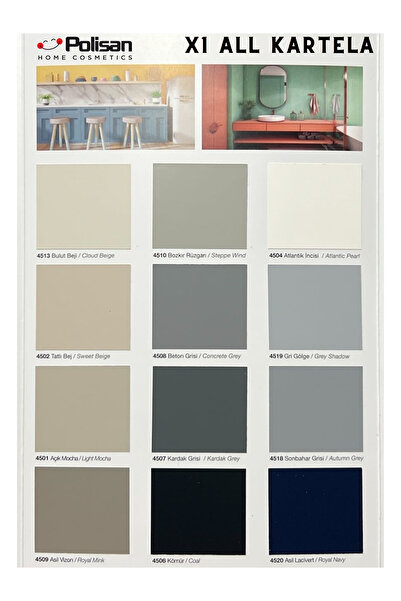 Polisan X1 All Yeni Nesil Dönüşüm Boyası Dolap-fayans-cam-plastik-ahşap-duvar Sınırsız Renk 0.75 lt