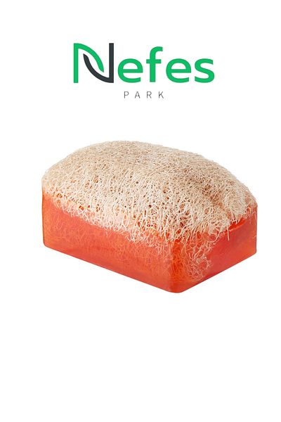 nefes Kanza Pumpkin Fiber Anti Cellulite and Aloe Vera Soap Natural Extract Soap