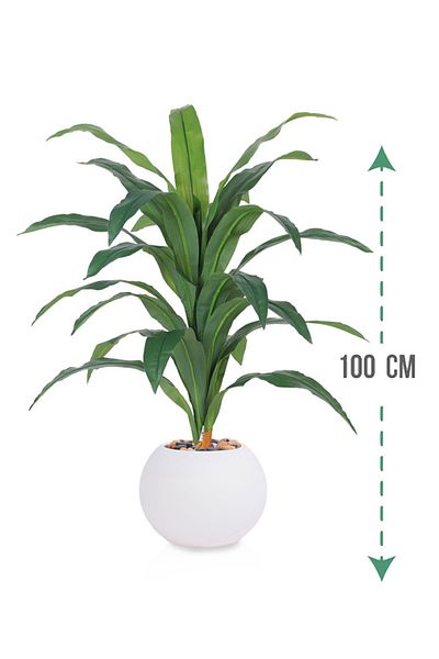 Generic Dark corn tree with round plastic container