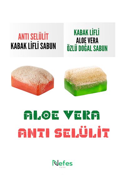 nefes Kanza Pumpkin Fiber Anti Cellulite and Aloe Vera Soap Natural Extract Soap