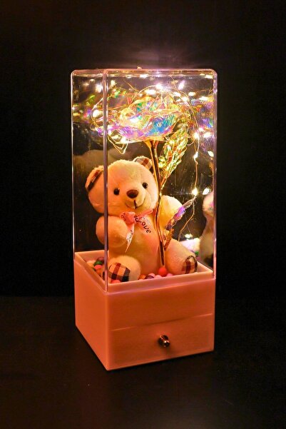 BURDANEVE Sevgiliye, Anneye, Arkadaşa Özel Ayıcıklı Sonsuz Güllü Çekmeceli He...