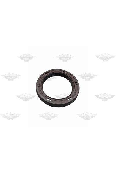 İTAQİ شعر غريب الأطوار ACCENT CRDİ 03-05 (36X50X8) 22144-27000