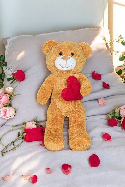 Canestar Plush Teddy Bear with Heart - Very Special Heart Gift Plush Teddy Bear for Lover