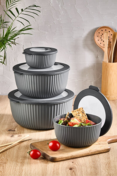 ALP HOME Elegance Series 4-Piece Storage Container Set with Leakproof Lid Mic...