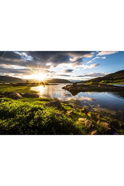 Zumzeria Pânză Tablou Primăvara târzie cu iarbă verde și natură sub soare cald, 80x50cm