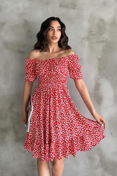 Mila Red Patterned Gimpel Dress