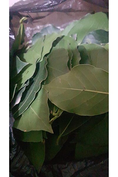 mersen 100 Adet Doğal Defne Yaprağı